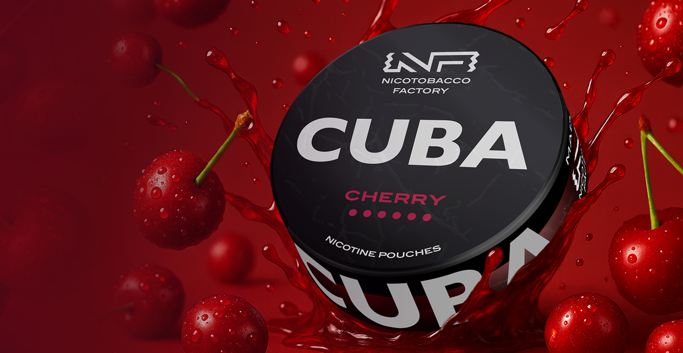 Nicotobacco nicotine pouches