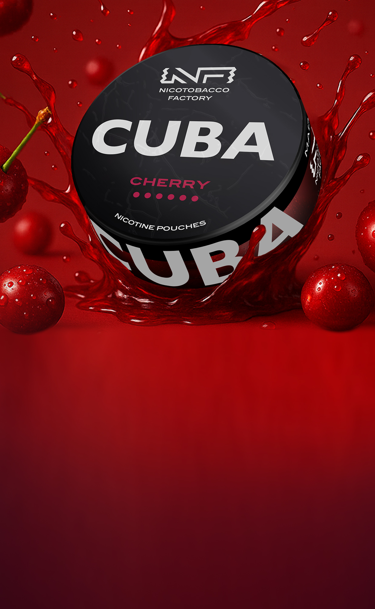 Nicotobacco nicotine pouches