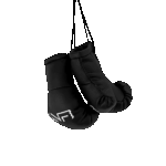 Boxing gloves Nicotobacco