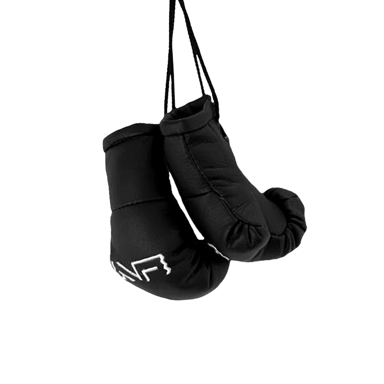 Boxing gloves Nicotobacco