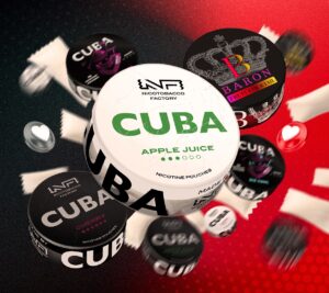 Top 10 Best-Selling Nicotine Pouch Flavors of 2025