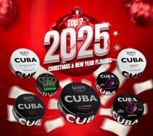 Top 7 Christmas & New Year Nicotine Pouch Flavors from Nicotobacco