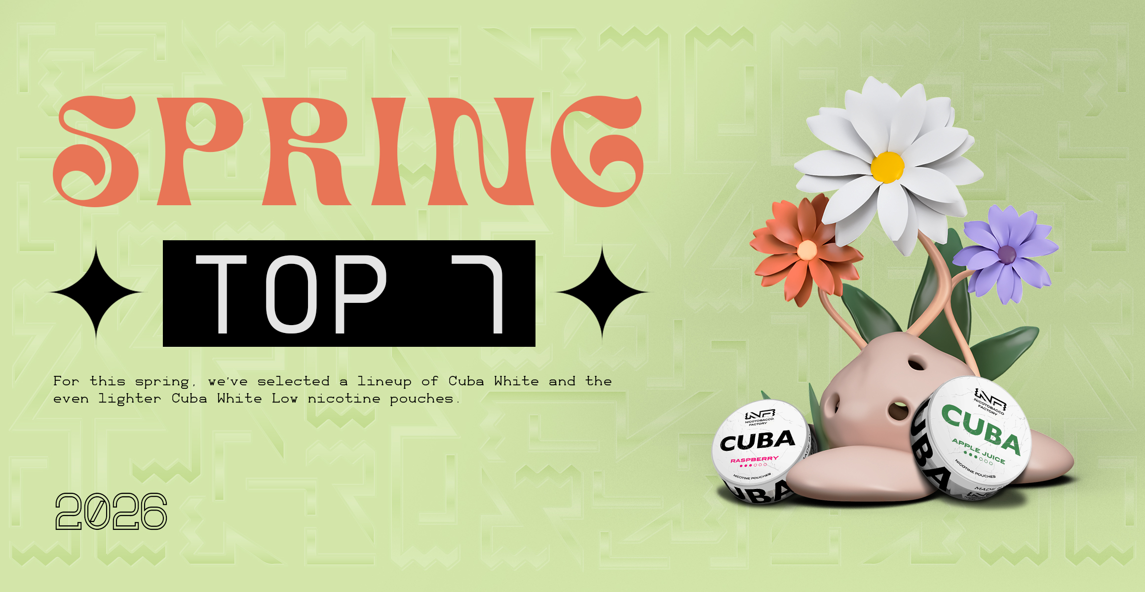 Best Spring Nicotine Pouches 2026
