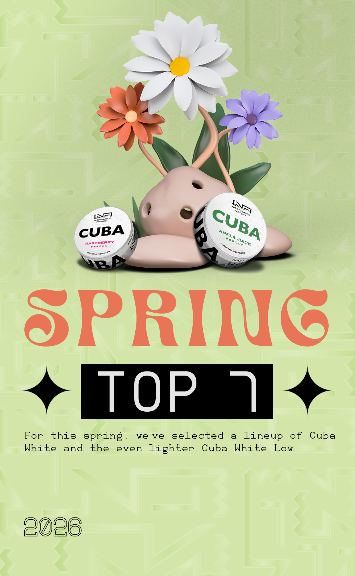 Best Spring Nicotine Pouches 2026