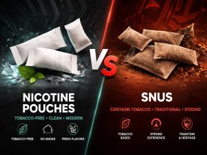 Nicotine Pouches vs Snus: What’s the Real Difference?