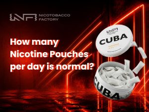 How Many Nicotine Pouches Per Day Is Normal?